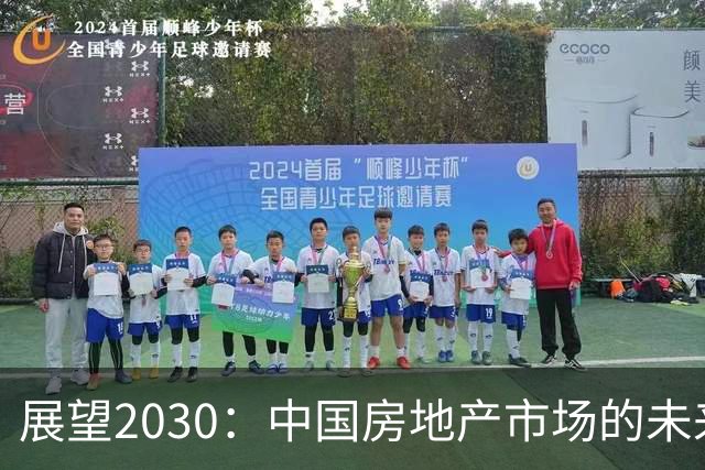 展望2030：中国房地产市场的未来走向与投资策略