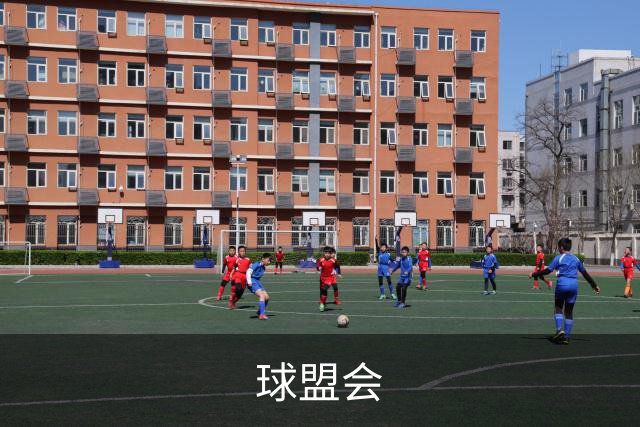 球盟会公司介绍