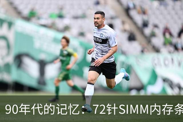 90年代的记忆：72针SIMM内存条引起网友热议